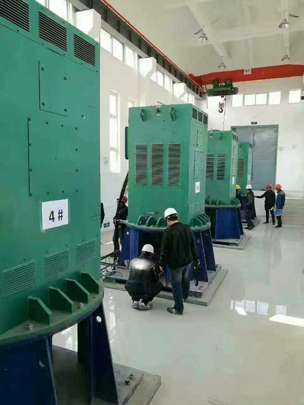 科尔沁某污水处理厂使用我厂的立式高压电机安装现场